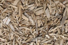 biomass boilers Clay Hill